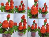Bouquet de roses fraises