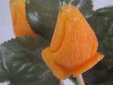 Bouton de rose fermé sur carotte