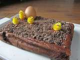 Gâteau magique intensément chocolat pour Pâques