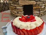 Gâteau presque 100% fruits fraises chantilly