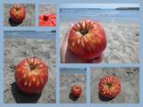 Pomme à la plage