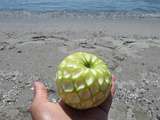 Pomme à la plage #7