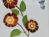 Pomme fleur #12