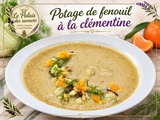 Potage de fenouil à la clémentine