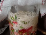 Koso, sirop de fruits maison
