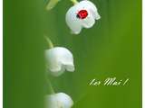 Brin de Muguet