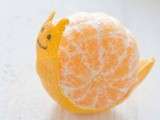 Escargot dans une orange
