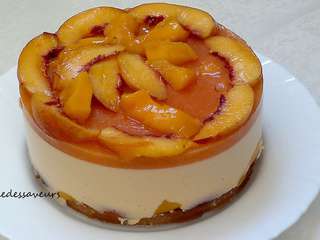 Recettes De Cheesecake Et Mangue