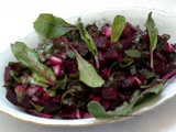 Salade de betteraves (feuilles et racines)