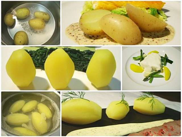Recettes de Pomme de terre de Le Sot L'y Laisse