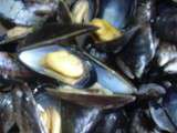 Moules mariniéres
