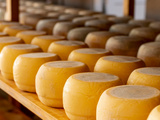 Comment fabriquer du fromage fait-maison
