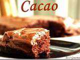 Gâteau tout cacao simplissime de Regan Daley / All in the pan chewy chocolate cake by Regan Daley