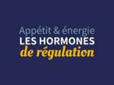 Hormones de régulation de l’énergie / de l’appétit