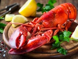 Comment cuisiner un homard : Un guide facile pour cuire le homard à l’eau ou le faire griller