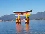 Japon- Île de Miyajima- Le Pavillon Senjokaku et La Pagode Goju-No-To