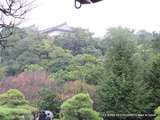 Japon-Le Jardin Kôko-En de Himeji