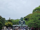 Kamatura(Japon) - Les temples de Kamakura