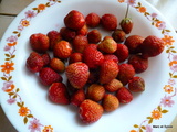 PREMIÈRES fraises et dessert du jour