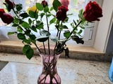 Rose un espoir - Le coeur des motards