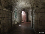 Tournus (71) - La crypte de l'abbaye Saint-Philibert