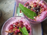 Tiramisu aux fruits rouges et lait végétal aux noisettes gourmandes