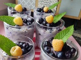 Tiramisu aux myrtilles et lait végétal