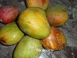 Panna cotta à la mangue et coulis de mangue