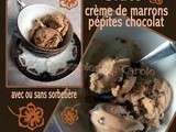 Glace à la crème de marrons & pépites de chocolat (rapide facile) avec ou sans sorbetière