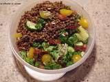 Végétalien : Salade de lentilles, tomate cerise, tomate séchée, graine de lin, amande, concombre