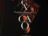 De la fève à la tablette  Cacao  : le nouvel ouvrage de Pierre Marcolini