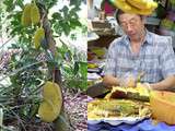 Connaissez-vous le durian
