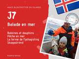 J7 en Islande – Balade en mer