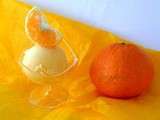Sorbet mandarine (2)