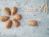 Petites pétales bombés noix de coco et chocolat