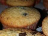 Muffins noix de coco et chocolat