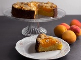 Gâteau fondant aux abricots et aux amandes