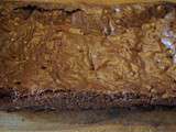Brownies au chocolat et aux noix de macadamia