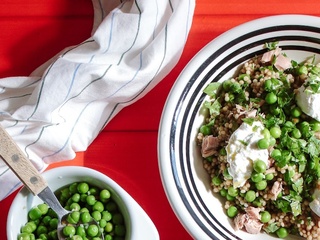 Recettes de Ricotta et Thon