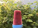 Glace framboise cassis