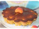 Gâteau moelleux abricots