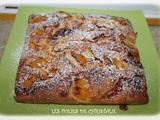 Gâteau moelleux aux prunes