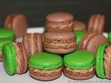 Macarons After Eight version 2