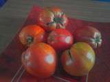 Tomates de mon jardin ! des coeurs de boeuf