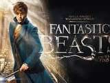 Pourquoi j'ai aimé Fantastic Beasts