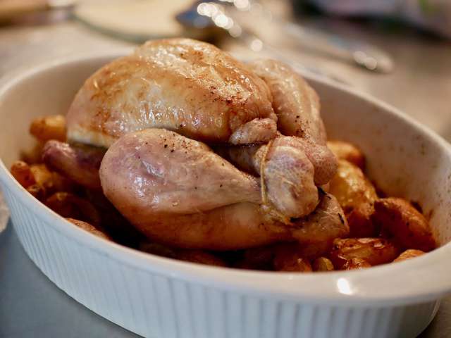 Recettes de Coquelet