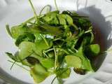 Salade de pourpier d'hiver - Clayton de Cuba - au curcuma et graines de courge