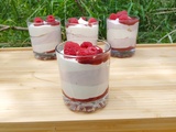 Mousse chocolat blanc/framboises