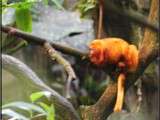 Biodôme de Montréal