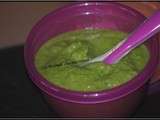 Puree courgettes / haricots verts / brocolis avec Momo à partir de 4mois